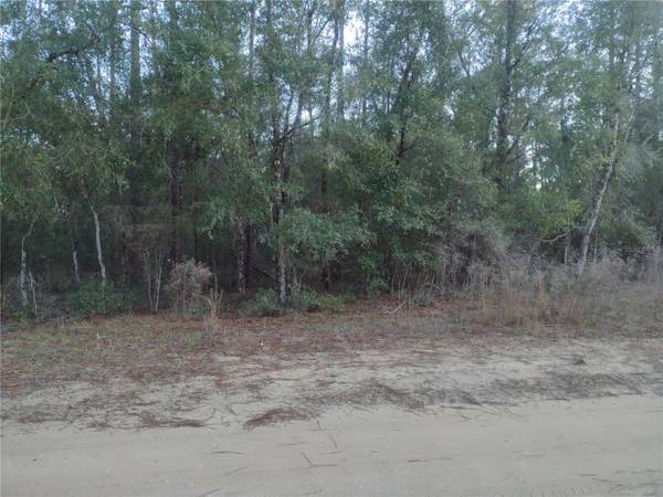 89 TUCKER LAKE RD, Melrose, FL 32666