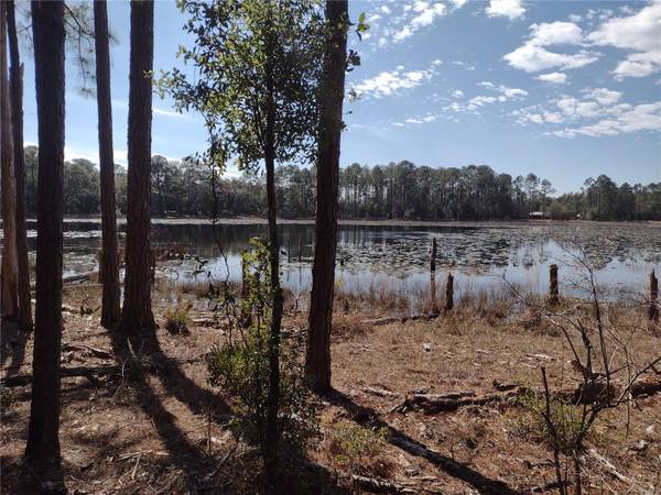 89 TUCKER LAKE RD, Melrose, FL 32666