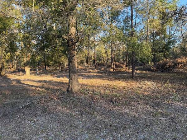 ROANOKE TERRACE, Fort White, FL 32038