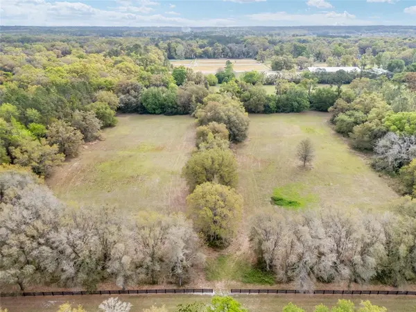 3595 NW 156TH DR, Newberry, FL 32669