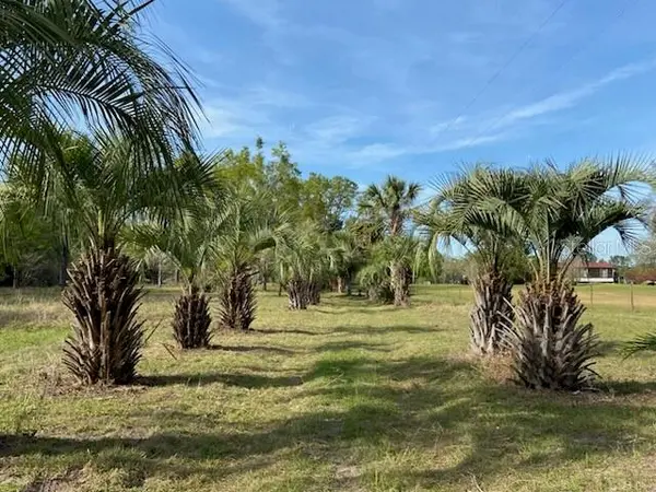 23206 NW 102 ND AVE, Alachua, FL 32615