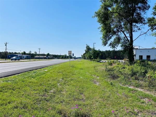 0 N YOUNG BLVD, Chiefland, FL 32626