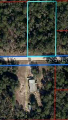 TBD NE 87TH PL, Bronson, FL 32621