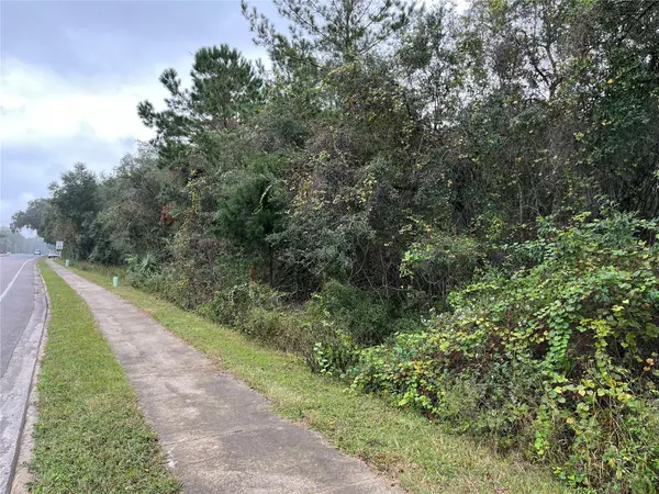 000 SE HAWTHORNE RD, Hawthorne, FL 32640