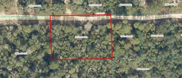 TBD NE 236 ST, Fort Mc Coy, FL 32134