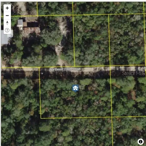 TBD NE 236 ST, Fort Mc Coy, FL 32134