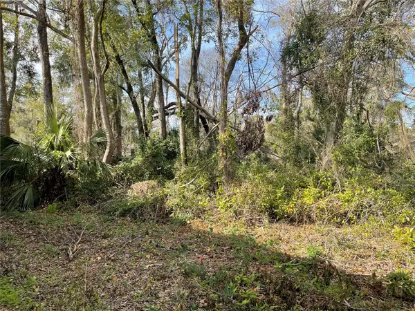 lot 1 NW 135TH TER, Alachua, FL 32615