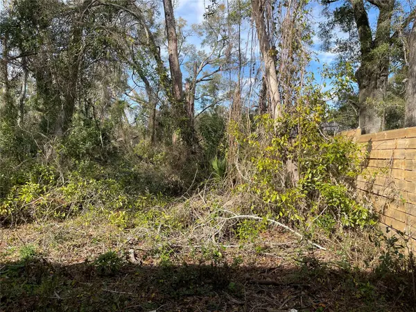 lot 2 NW 135TH TER, Alachua, FL 32615