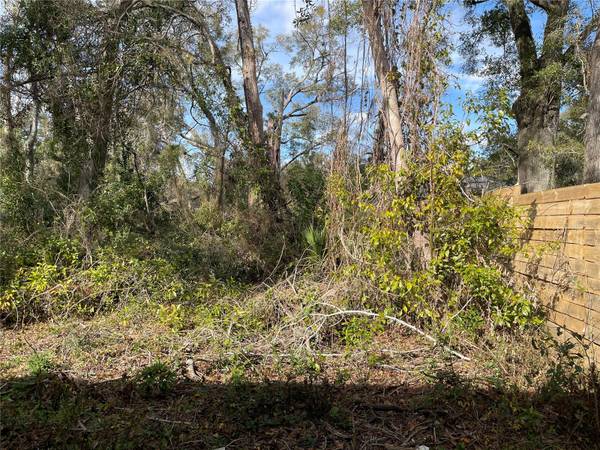 lot 2 NW 135TH TER, Alachua, FL 32615
