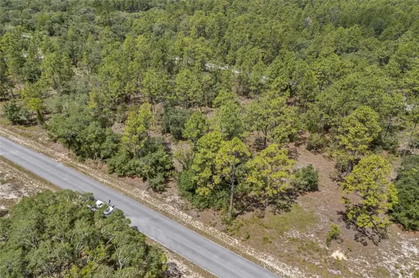 SW 134 TER, Dunnellon, FL 34431