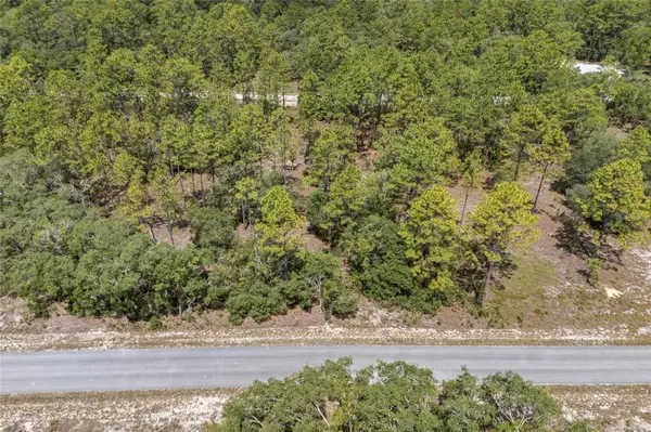 SW 134 TER, Dunnellon, FL 34431