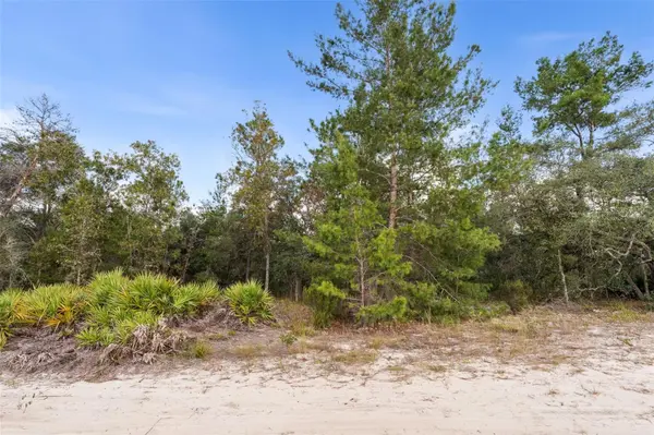 0 NE 75 ST, Bronson, FL 32621