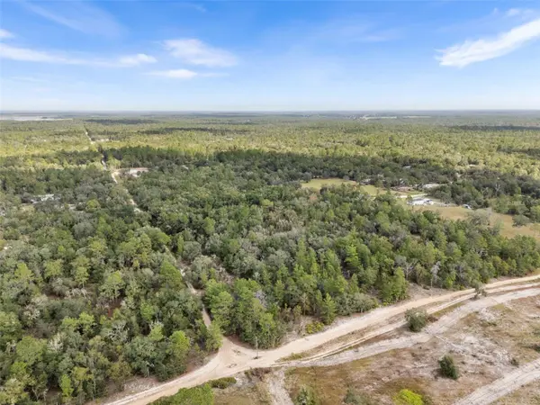 0 NE 75 ST, Bronson, FL 32621