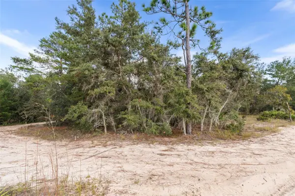 0 NE 75 ST, Bronson, FL 32621