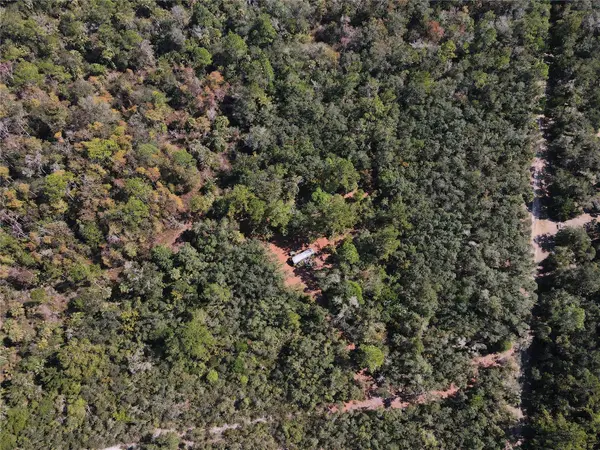 TBD QUAIL RD, Cedar Key, FL 32625