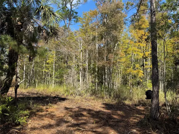 TBD QUAIL RD, Cedar Key, FL 32625