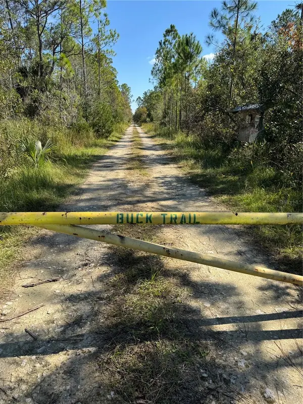 TBD QUAIL RD, Cedar Key, FL 32625