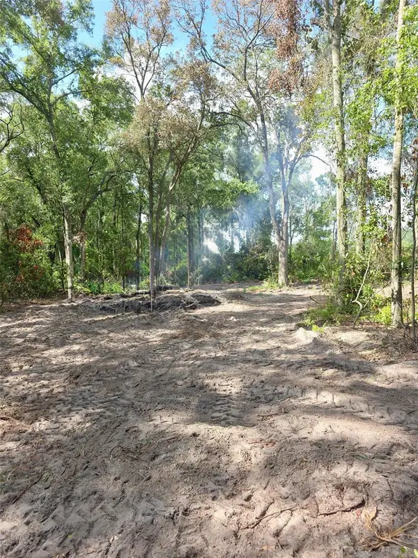 Lot 111 NW 70TH AVE, Trenton, FL 32693