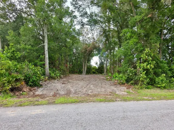 Lot 112 NW 70TH AVE, Trenton, FL 32693