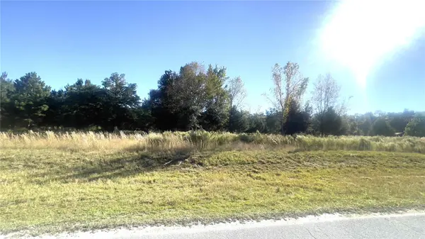 Lot 46 NW 73RD ST, Chiefland, FL 32626