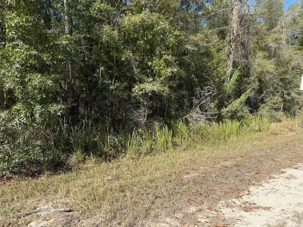108TH AVE NE, Bronson, FL 32621