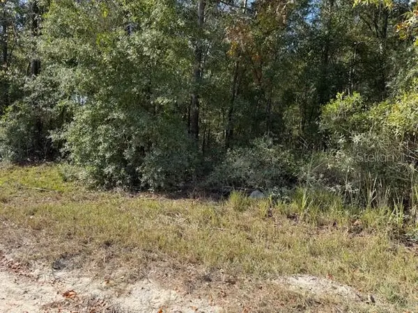 108TH AVE NE, Bronson, FL 32621