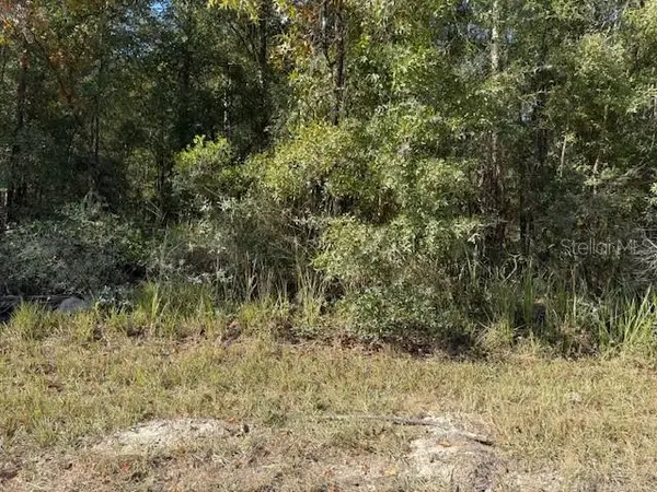 108TH AVE NE, Bronson, FL 32621