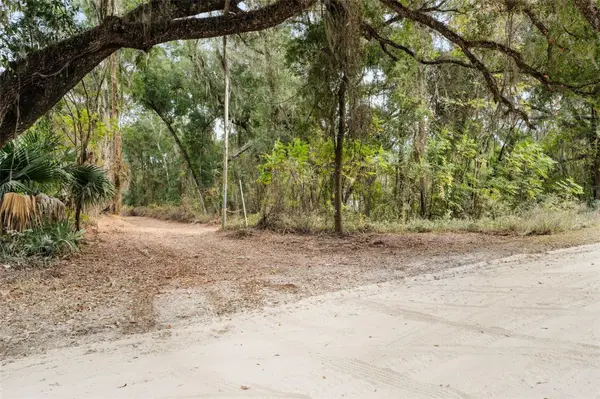 SE 225TH DR, Hawthorne, FL 32640