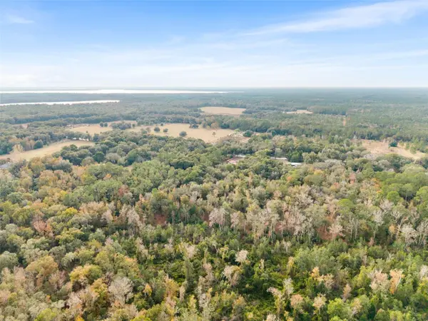 SE 225TH DR, Hawthorne, FL 32640
