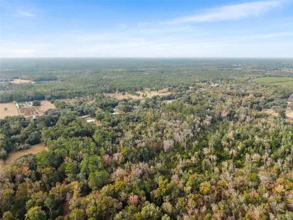 SE 225TH DR, Hawthorne, FL 32640