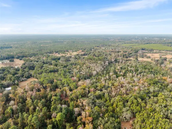 SE 225TH DR, Hawthorne, FL 32640