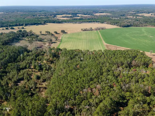 TBD N COUNTY RD 1491, Alachua, FL 32615