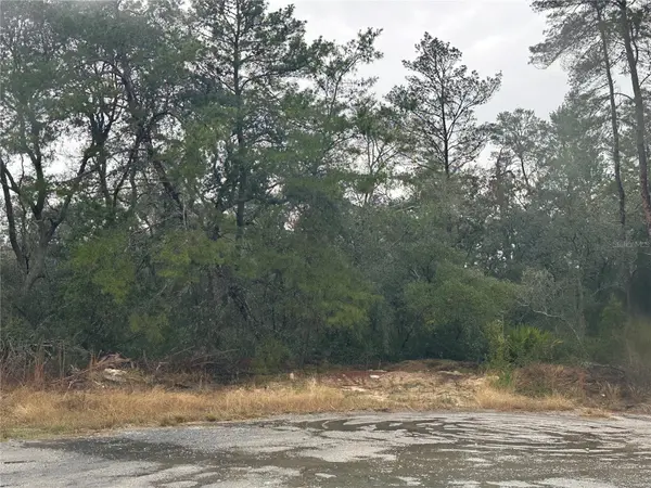 SW 35 TER, Ocala, FL 34473