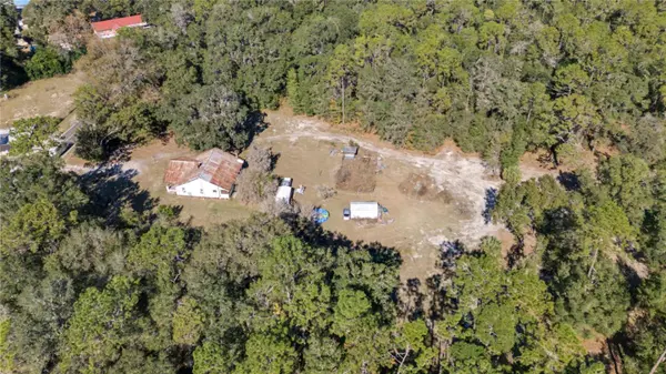 815 NE 145TH AVENUE RD, Silver Springs, FL 34488