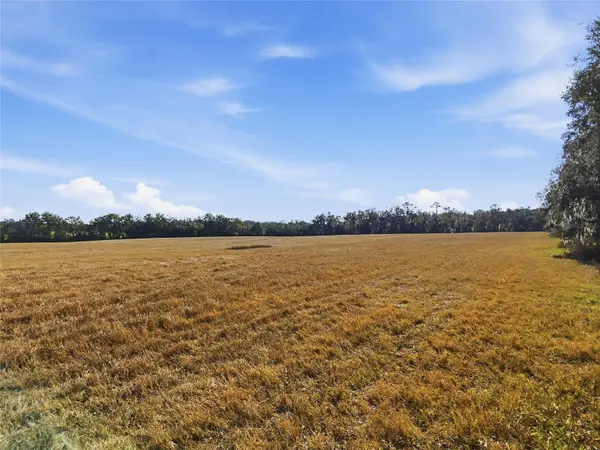 Hwy 236 NW 236, Alachua, FL 32615