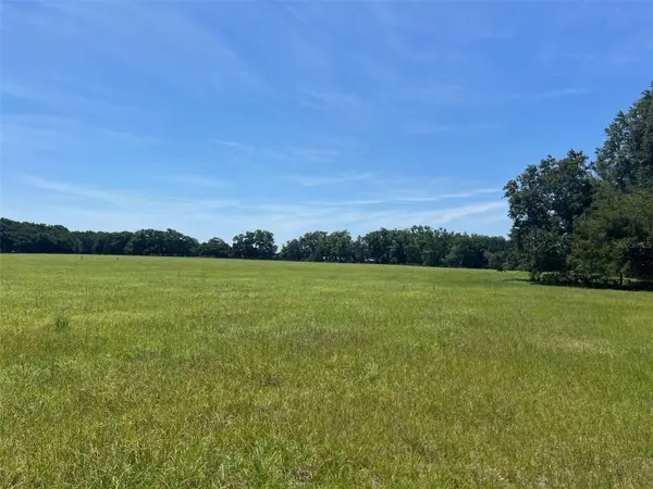 00 NW 165TH AVE, High Springs, FL 32643