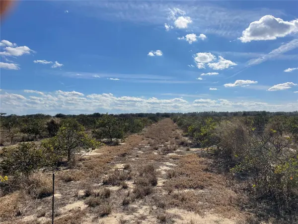 LAWRENCE STEWART RD, Frostproof, FL 33843