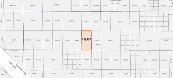 Lake Wales, FL 33898