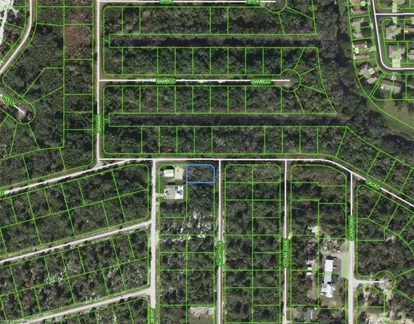 1218 AILANTHUS ST, Lake Placid, FL 33852