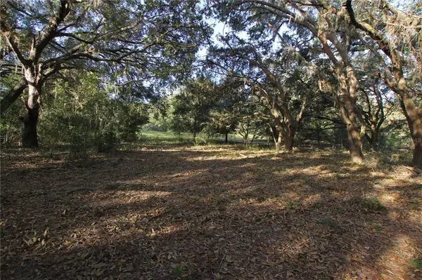 0 PATRICIA DR, Bartow, FL 33830