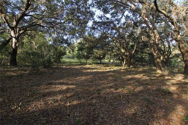 0 PATRICIA DR, Bartow, FL 33830