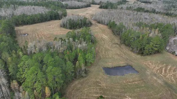 BERRY GROVES RD DR, Clermont, FL 34714