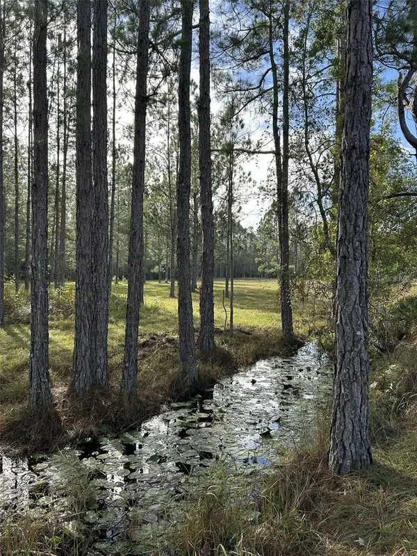 BERRY GROVES RD DR, Clermont, FL 34714