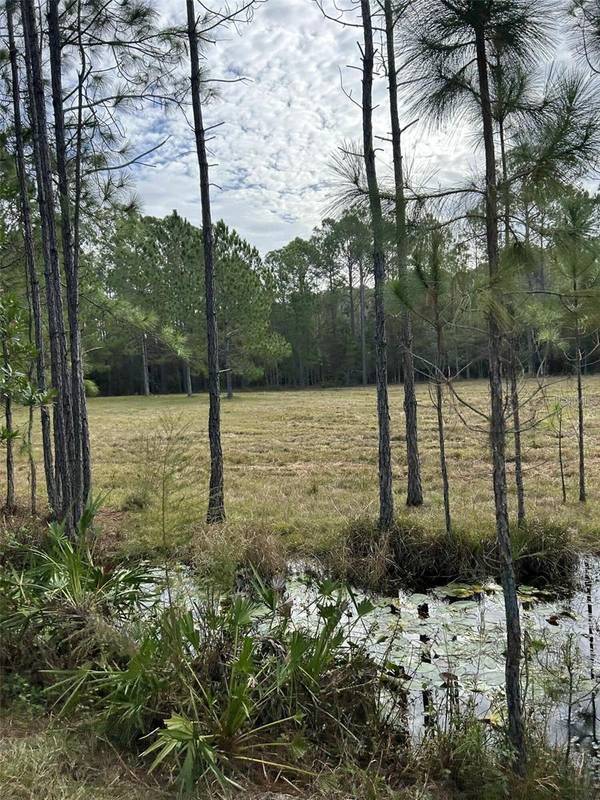 BERRY GROVES RD DR, Clermont, FL 34714