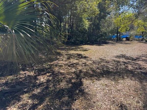 10220 W OHIO DR, Crystal River, FL 34428