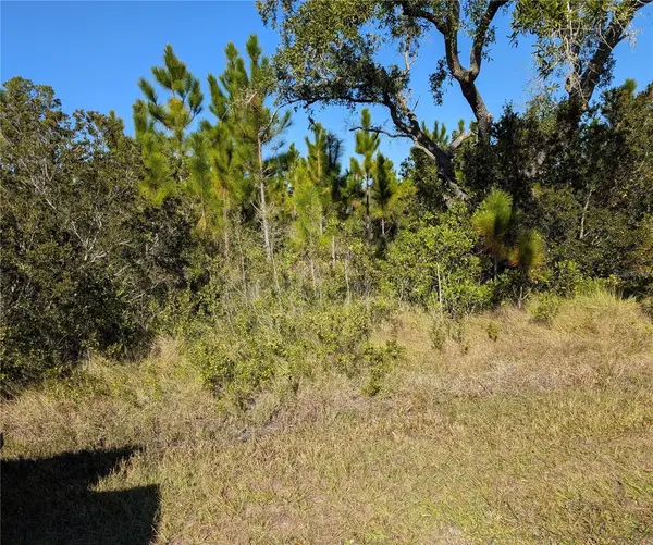 0 TROPICANA DR, Indian Lake Estates, FL 33855