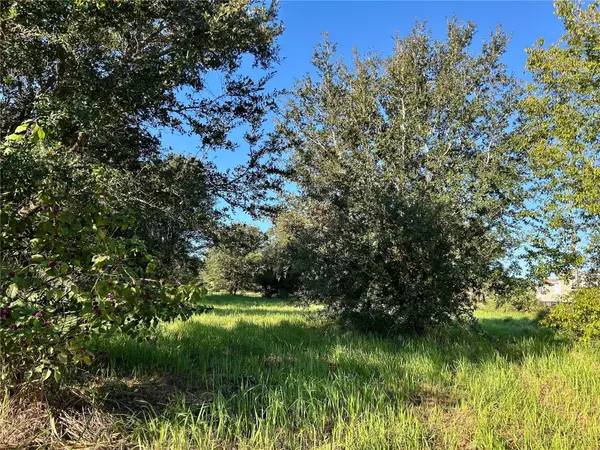 S 1ST AVE, Wauchula, FL 33873