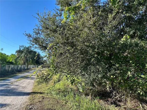 S 1ST AVE, Wauchula, FL 33873