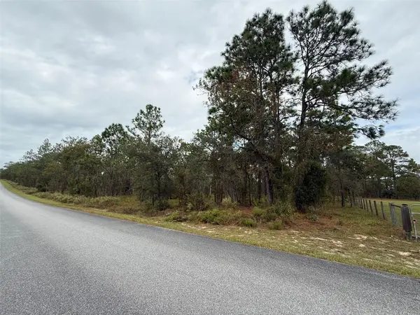 NW AMBERJACK AVE, Dunnellon, FL 34431