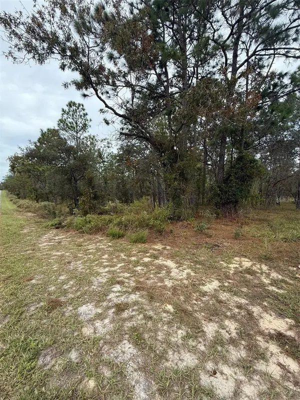 NW AMBERJACK AVE, Dunnellon, FL 34431